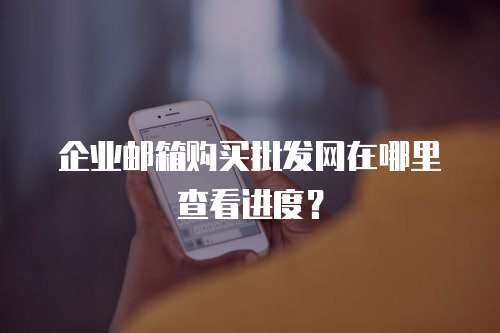 企业邮箱购买批发网在哪里查看进度？