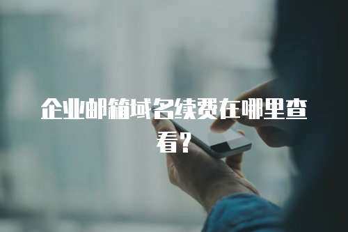 企业邮箱域名续费在哪里查看？