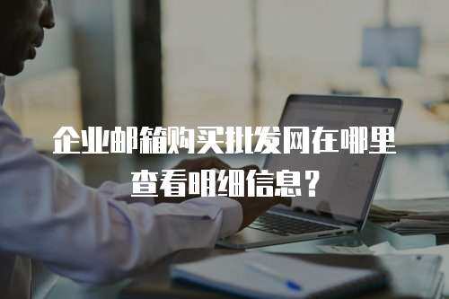 企业邮箱购买批发网在哪里查看明细信息？
